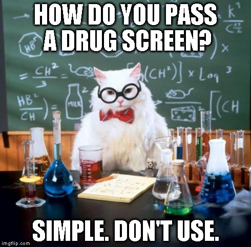 Chemistry Cat | HOW DO YOU PASS A DRUG SCREEN? SIMPLE. DON'T USE. | image tagged in memes,chemistry cat | made w/ Imgflip meme maker
