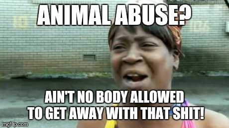 Ain't Nobody Got Time For That Meme | ANIMAL ABUSE? AIN'T NO BODY ALLOWED TO GET AWAY WITH THAT SHIT! | image tagged in memes,aint nobody got time for that | made w/ Imgflip meme maker