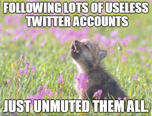 Baby Insanity Wolf | FOLLOWING LOTS OF USELESS TWITTER ACCOUNTS JUST UNMUTED THEM ALL. | image tagged in memes,baby insanity wolf | made w/ Imgflip meme maker