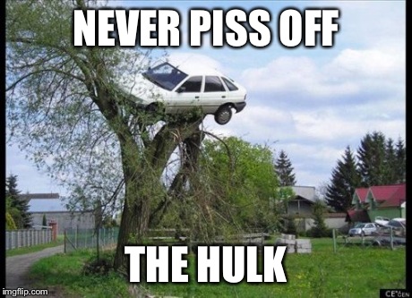 Secure Parking | NEVER PISS OFF THE HULK | image tagged in memes,secure parking | made w/ Imgflip meme maker