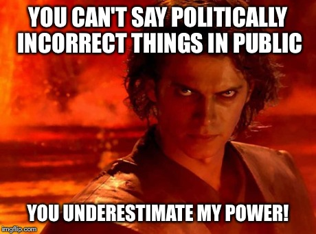 You Underestimate My Power | YOU CAN'T SAY POLITICALLY INCORRECT THINGS IN PUBLIC YOU UNDERESTIMATE MY POWER! | image tagged in memes,you underestimate my power | made w/ Imgflip meme maker