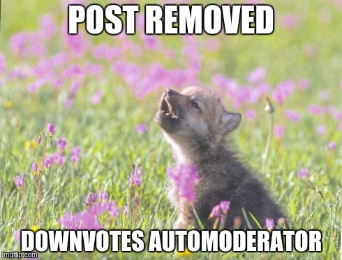 Baby Insanity Wolf Meme | POST REMOVED DOWNVOTES AUTOMODERATOR | image tagged in memes,baby insanity wolf | made w/ Imgflip meme maker
