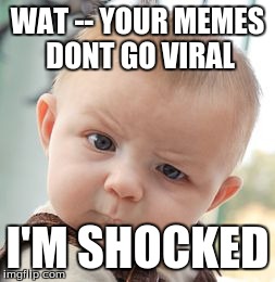 I'm Shocked | WAT -- YOUR MEMES DONT GO VIRAL I'M SHOCKED | image tagged in memes,skeptical baby | made w/ Imgflip meme maker