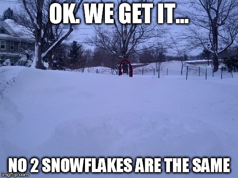 OK. WE GET IT... NO 2 SNOWFLAKES ARE THE SAME | image tagged in boston | made w/ Imgflip meme maker
