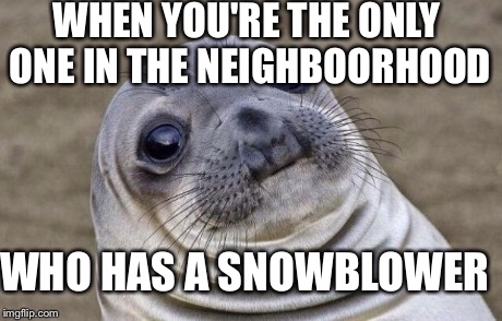 Awkward Moment Sealion Meme | WHEN YOU'RE THE ONLY ONE IN THE NEIGHBOORHOOD WHO HAS A SNOWBLOWER | image tagged in memes,awkward moment sealion,AdviceAnimals | made w/ Imgflip meme maker