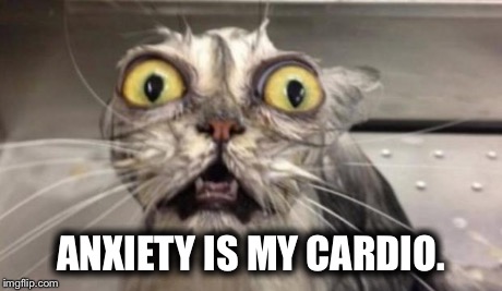 Crazy Cat | ANXIETY IS MY CARDIO. | image tagged in crazy cat | made w/ Imgflip meme maker