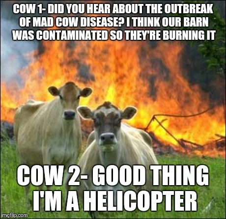 Evil Cows Meme | COW 1- DID YOU HEAR ABOUT THE OUTBREAK OF MAD COW DISEASE? I THINK OUR BARN WAS CONTAMINATED SO THEY'RE BURNING IT COW 2- GOOD THING I'M A H | image tagged in memes,evil cows | made w/ Imgflip meme maker