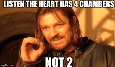 One Does Not Simply Meme | LISTEN THE HEART HAS 4 CHAMBERS NOT 2 | image tagged in memes,one does not simply | made w/ Imgflip meme maker