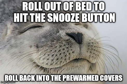 Satisfied Seal Meme | ROLL OUT OF BED TO HIT THE SNOOZE BUTTON ROLL BACK INTO THE PREWARMED COVERS | image tagged in memes,satisfied seal | made w/ Imgflip meme maker