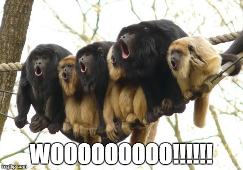 WOOOOOOOOO!!!!!! | image tagged in monkeys | made w/ Imgflip meme maker
