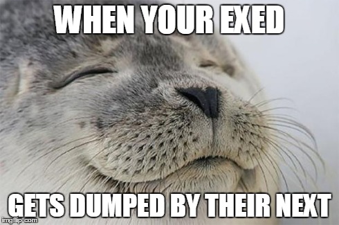 Satisfied Seal | WHEN YOUR EXED GETS DUMPED BY THEIR NEXT | image tagged in memes,satisfied seal | made w/ Imgflip meme maker