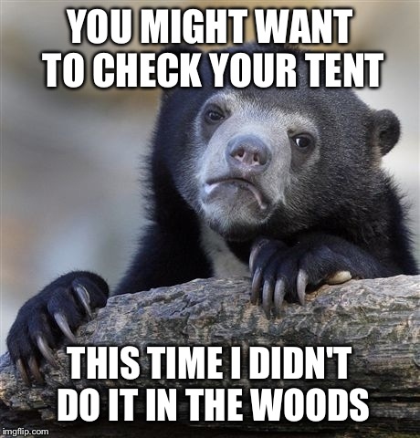 Confession Bear Meme | YOU MIGHT WANT TO CHECK YOUR TENT THIS TIME I DIDN'T DO IT IN THE WOODS | image tagged in memes,confession bear | made w/ Imgflip meme maker