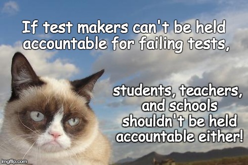 Grumpy Cat Sky Meme | If test makers can't be held accountable for failing tests, students, teachers, and schools shouldn't be held accountable either! | image tagged in memes,grumpy cat sky,grumpy cat | made w/ Imgflip meme maker