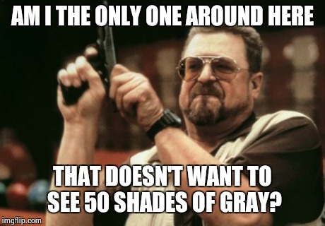 Am I The Only One Around Here Meme | AM I THE ONLY ONE AROUND HERE THAT DOESN'T WANT TO SEE 50 SHADES OF GRAY? | image tagged in memes,am i the only one around here | made w/ Imgflip meme maker