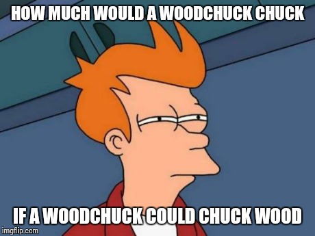 Futurama Fry | HOW MUCH WOULD A WOODCHUCK CHUCK IF A WOODCHUCK COULD CHUCK WOOD | image tagged in memes,futurama fry | made w/ Imgflip meme maker