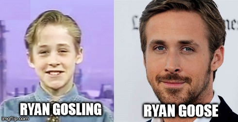 ryan gosling goose | RYAN GOSLING RYAN GOOSE | image tagged in ryan gosling,goose,gosling,celebs,celebrities,celebrity | made w/ Imgflip meme maker