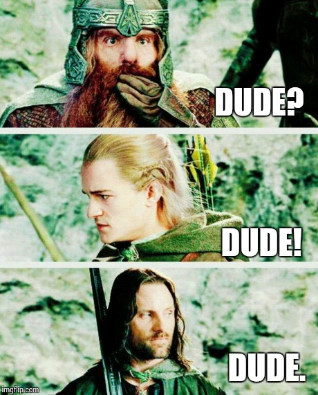 The three amigos | DUDE? DUDE! DUDE. | image tagged in lotr,dude | made w/ Imgflip meme maker