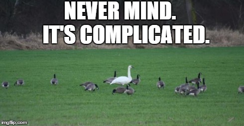 NEVER MIND.  IT'S COMPLICATED. | image tagged in it's_complicated | made w/ Imgflip meme maker