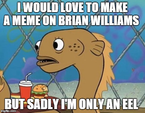 Sadly I Am Only An Eel Meme | I WOULD LOVE TO MAKE A MEME ON BRIAN WILLIAMS BUT SADLY I'M ONLY AN EEL | image tagged in memes,sadly i am only an eel | made w/ Imgflip meme maker
