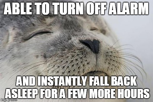 Satisfied Seal Meme | ABLE TO TURN OFF ALARM AND INSTANTLY FALL BACK ASLEEP FOR A FEW MORE HOURS | image tagged in memes,satisfied seal | made w/ Imgflip meme maker