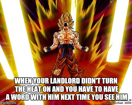 Too cold to be playing around with my heat | WHEN YOUR LANDLORD DIDN'T TURN THE HEAT ON AND YOU HAVE TO HAVE A WORD WITH HIM NEXT TIME YOU SEE HIM | image tagged in goku dbz wikia becky hijabi,landlord,no heat meme,sand_inc_memes | made w/ Imgflip meme maker