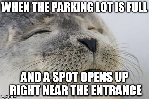 Satisfied Seal | WHEN THE PARKING LOT IS FULL AND A SPOT OPENS UP RIGHT NEAR THE ENTRANCE | image tagged in memes,satisfied seal,AdviceAnimals | made w/ Imgflip meme maker