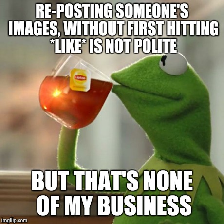 But That's None Of My Business | RE-POSTING SOMEONE'S IMAGES, WITHOUT FIRST HITTING *LIKE* IS NOT POLITE BUT THAT'S NONE OF MY BUSINESS | image tagged in memes,but thats none of my business,kermit the frog | made w/ Imgflip meme maker