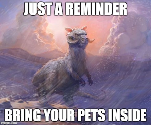 JUST A REMINDER BRING YOUR PETS INSIDE | image tagged in star wars | made w/ Imgflip meme maker