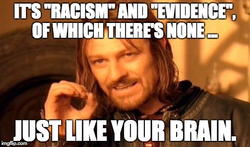 One Does Not Simply Meme | IT'S "RACISM" AND "EVIDENCE", OF WHICH THERE'S NONE ... JUST LIKE YOUR BRAIN. | image tagged in memes,one does not simply | made w/ Imgflip meme maker