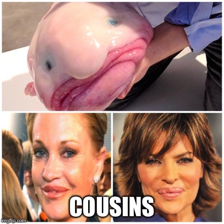COUSINS | image tagged in blobfish cousins | made w/ Imgflip meme maker