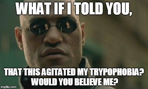 Matrix Morpheus Meme | WHAT IF I TOLD YOU, THAT THIS AGITATED MY TRYPOPHOBIA? WOULD YOU BELIEVE ME? | image tagged in memes,matrix morpheus | made w/ Imgflip meme maker