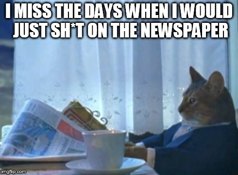 I Should Buy A Boat Cat | I MISS THE DAYS WHEN I WOULD JUST SH*T ON THE NEWSPAPER | image tagged in memes,i should buy a boat cat | made w/ Imgflip meme maker