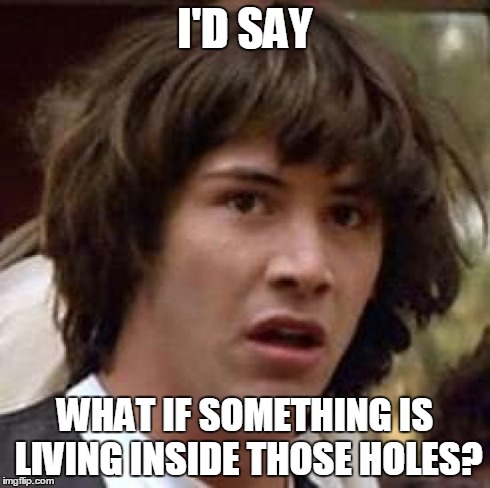 Conspiracy Keanu Meme | I'D SAY WHAT IF SOMETHING IS LIVING INSIDE THOSE HOLES? | image tagged in memes,conspiracy keanu | made w/ Imgflip meme maker
