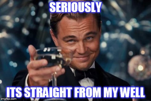 Leonardo Dicaprio Cheers | SERIOUSLY ITS STRAIGHT FROM MY WELL | image tagged in memes,leonardo dicaprio cheers | made w/ Imgflip meme maker