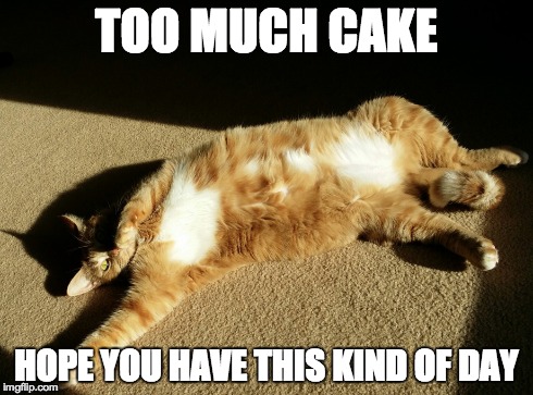 Birthday Cake Belly | TOO MUCH CAKE HOPE YOU HAVE THIS KIND OF DAY | image tagged in cats,birthday,birthday cake | made w/ Imgflip meme maker