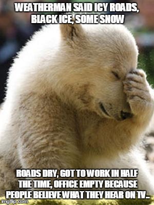 Bad travel conditions they said | WEATHERMAN SAID ICY ROADS, BLACK ICE, SOME SNOW ROADS DRY, GOT TO WORK IN HALF THE TIME, OFFICE EMPTY BECAUSE PEOPLE BELIEVE WHAT THEY HEAR  | image tagged in memes,facepalm bear,weather meme | made w/ Imgflip meme maker