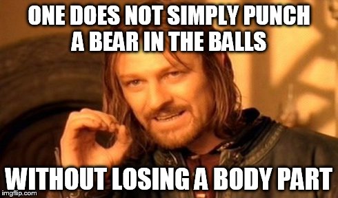 One Does Not Simply | ONE DOES NOT SIMPLY PUNCH A BEAR IN THE BALLS WITHOUT LOSING A BODY PART | image tagged in memes,one does not simply | made w/ Imgflip meme maker