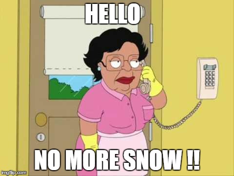 Consuela | HELLO NO MORE SNOW !! | image tagged in memes,consuela | made w/ Imgflip meme maker