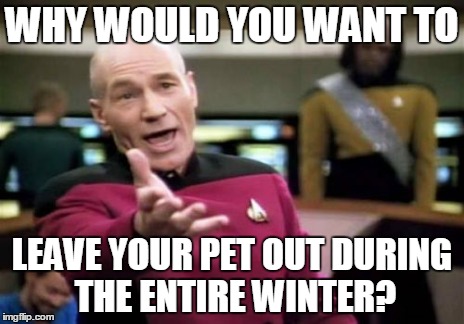 Picard Wtf Meme | WHY WOULD YOU WANT TO LEAVE YOUR PET OUT DURING THE ENTIRE WINTER? | image tagged in memes,picard wtf | made w/ Imgflip meme maker