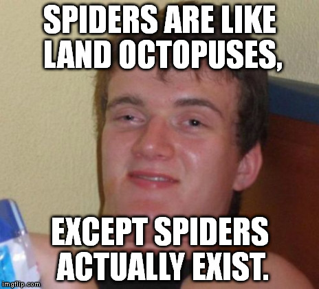 In reply to Entertainer28's meme: | SPIDERS ARE LIKE LAND OCTOPUSES, EXCEPT SPIDERS ACTUALLY EXIST. | image tagged in memes,10 guy | made w/ Imgflip meme maker