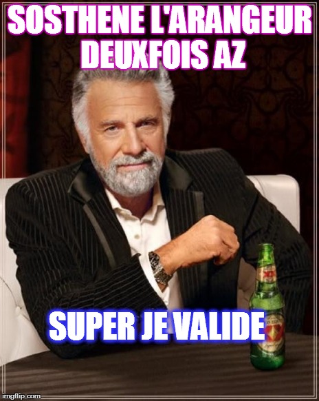 SOSTHENE L'ARANGEUR DEUXFOIS AZ SUPER JE VALIDE | image tagged in memes,the most interesting man in the world | made w/ Imgflip meme maker