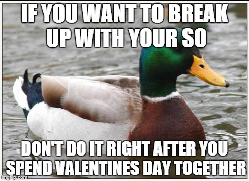 Actual Advice Mallard | IF YOU WANT TO BREAK UP WITH YOUR SO DON'T DO IT RIGHT AFTER YOU SPEND VALENTINES DAY TOGETHER | image tagged in memes,actual advice mallard | made w/ Imgflip meme maker