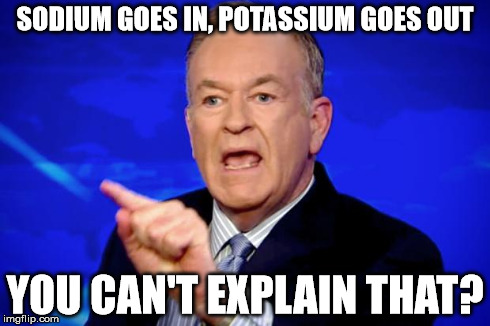 Can't Explain That | SODIUM GOES IN, POTASSIUM GOES OUT YOU CAN'T EXPLAIN THAT? | image tagged in can't explain that | made w/ Imgflip meme maker