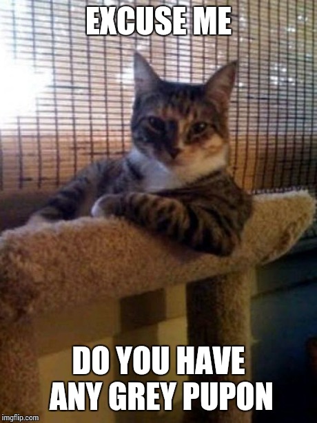 The Most Interesting Cat In The World Meme | EXCUSE ME DO YOU HAVE ANY GREY PUPON | image tagged in memes,the most interesting cat in the world | made w/ Imgflip meme maker