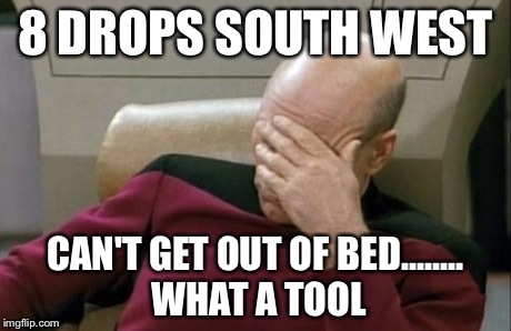 Captain Picard Facepalm | 8 DROPS SOUTH WEST CAN'T GET OUT OF BED........ WHAT A TOOL | image tagged in memes,captain picard facepalm | made w/ Imgflip meme maker