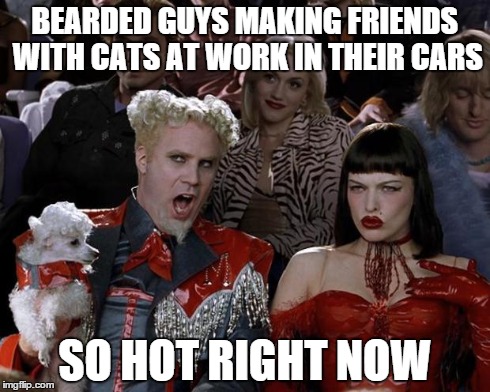 Mugatu So Hot Right Now | BEARDED GUYS MAKING FRIENDS WITH CATS AT WORK IN THEIR CARS SO HOT RIGHT NOW | image tagged in memes,mugatu so hot right now | made w/ Imgflip meme maker