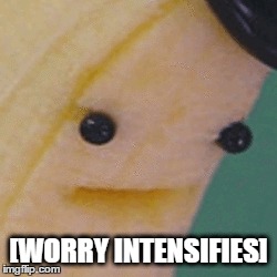 [WORRY INTENSIFIES] | made w/ Imgflip meme maker