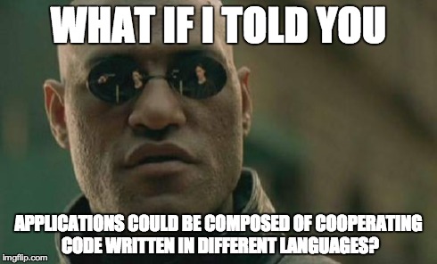 Matrix Morpheus Meme | WHAT IF I TOLD YOU APPLICATIONS COULD BE COMPOSED OF COOPERATING CODE WRITTEN IN DIFFERENT LANGUAGES? | image tagged in memes,matrix morpheus | made w/ Imgflip meme maker