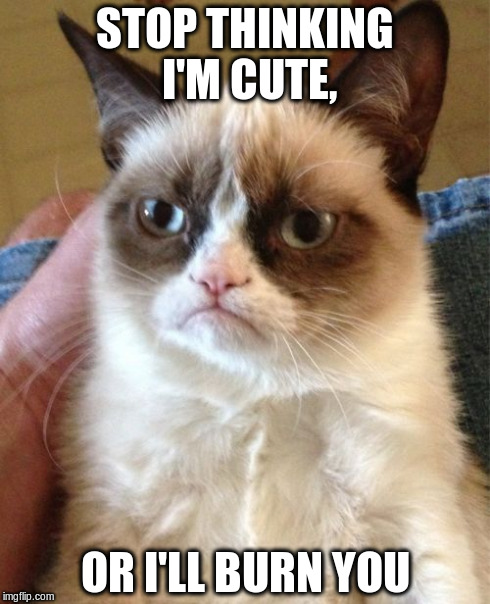 Grumpy Cat | STOP THINKING I'M CUTE, OR I'LL BURN YOU | image tagged in memes,grumpy cat | made w/ Imgflip meme maker