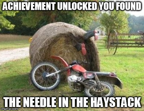 Needle in the haystack | ACHIEVEMENT UNLOCKED YOU FOUND THE NEEDLE IN THE HAYSTACK | image tagged in achievement,unlocked | made w/ Imgflip meme maker